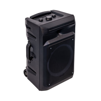 Karoke Mic Speaker